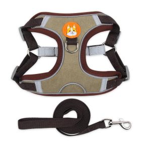 Collars vs. Harnesses: How to Choose the Best Option for Your Dog