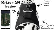 High Capable Mini Dog GPS Locator Waterproof Pet Tracker with GeoFence Size:L