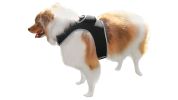 Portable Surveillance System GPS Pet Tracking Collars for Hunting Dogs Size:XL