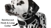 Waterproof Tracking Collars for Hunting Dogs Realtime GPS Pet Tracker Size:M