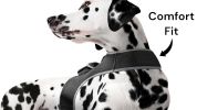 Waterproof Tracking Collars for Hunting Dogs Realtime GPS Pet Tracker Size:M