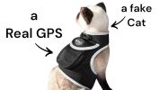 Portable Surveillance System GPS Pet Tracking Collars for Hunting Dogs Size:M