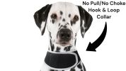 Portable Surveillance System GPS Pet Tracking Collars for Hunting Dogs Size:M