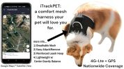 Receive Exact Pet Location w/ Pet Tracker GPS Tracking Dog Collar Tracker Size:M