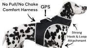 Rechargeable Pocket GPS GSM Tracking Collars for Hunting Dogs Realtime Size:M