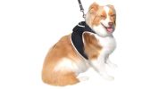 GSM GPS Dog Tracking Tag Portable Realtime Mini Waterproof Pet Tracker Size:M