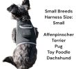 Mini Waterproof GPS Tracking Collars for Hunting Dogs w/ Tracking App Size:M