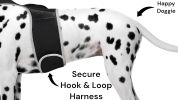 Pet Tracker Realtime GSM GPS Tracking Collars for Hunting Dogs Waterproof Size:S