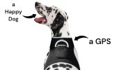 Apps Controlled GSM GPS Pet Tracking System Waterproof Cat Dog Locator Size:L