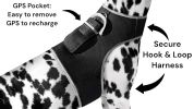 Receive Exact Pet Location w/ Pet Tracker GPS Tracking Dog Collar Tracker Size:M