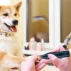 Dog Nail Grinder 2 Speeds Quiet USB Rechargeable Pet Nail Grinder Professional Pet Nail Trimmer Cordless Paws Grooming