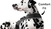 Portable Surveillance System GPS Pet Tracking Collars for Hunting Dogs Size:XL