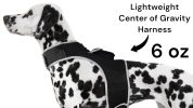 Portable Cat and small dogTracking Device Mini Waterproof GPS Pet Location Finder Size:XS