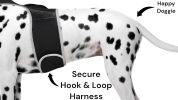 Mini Waterproof GPS Tracking Collars for Hunting Dogs w/ Tracking App Size:M