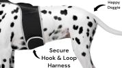 Broad GPS GSM Coverage Wireless Pet Tracking Collars for Hunting Dogs Size:XL