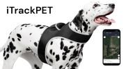 Receive Exact Pet Location w/ Pet Tracker GPS Tracking Dog Collar Tracker Size:M