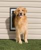 PetSafe Wall Dog Door